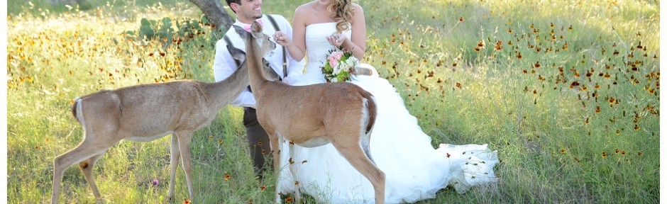 Events at The Pointe Wedding Photographer
