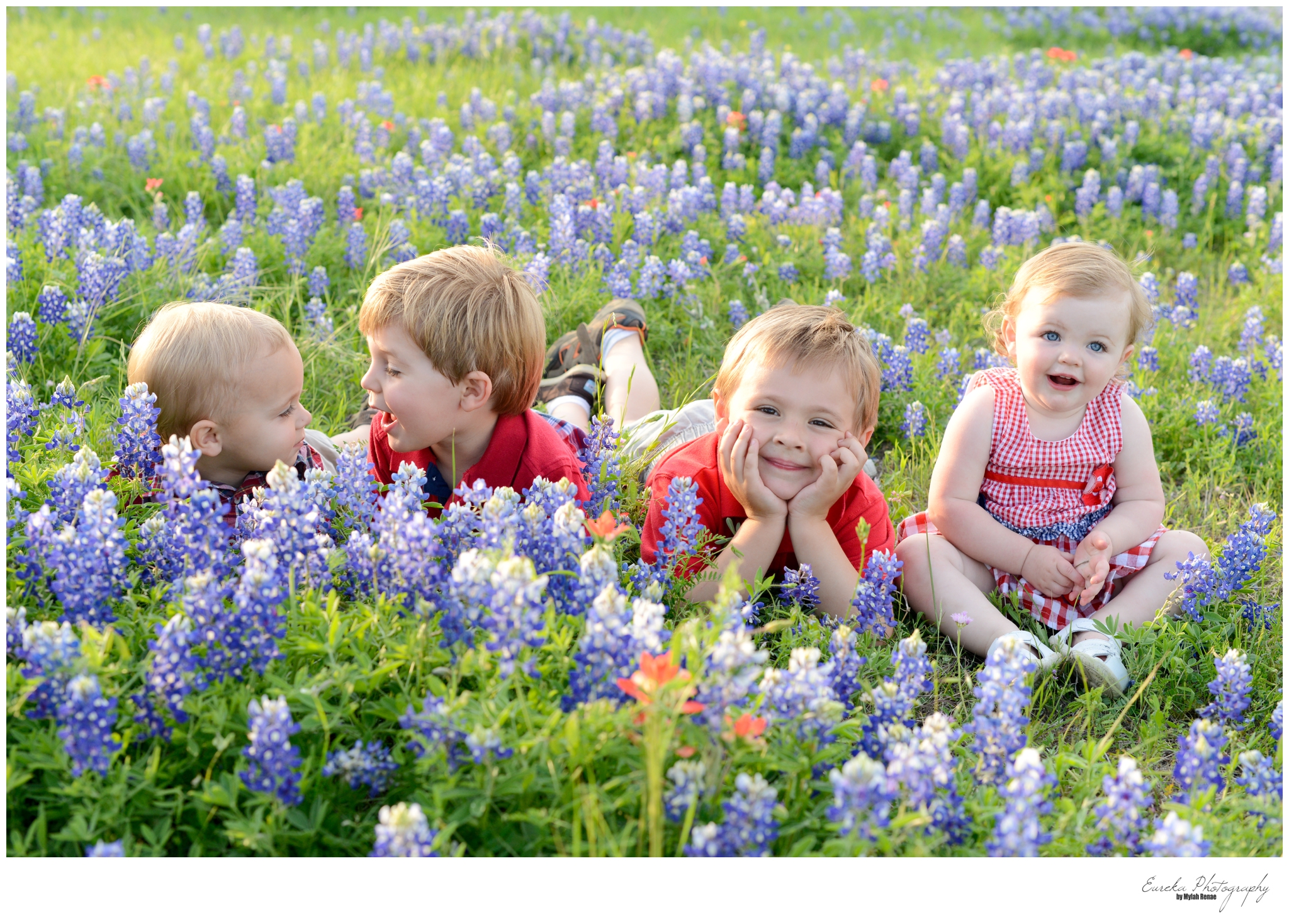 bluebonnets2014-103