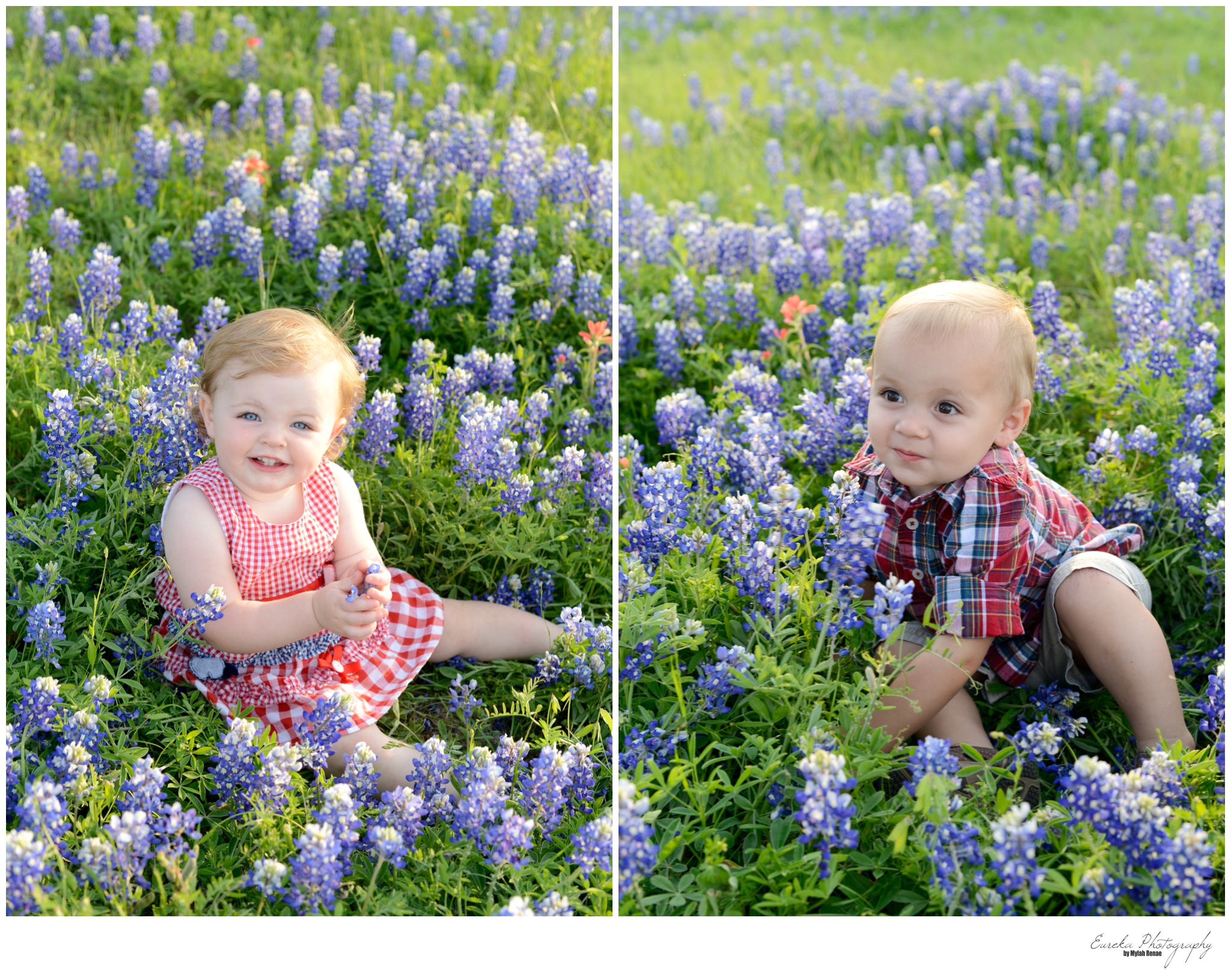 bluebonnets2014-117