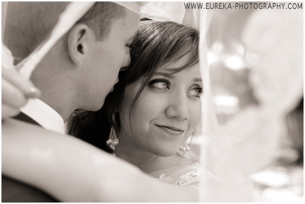 Wedding Veil Pictures near Austin, TX