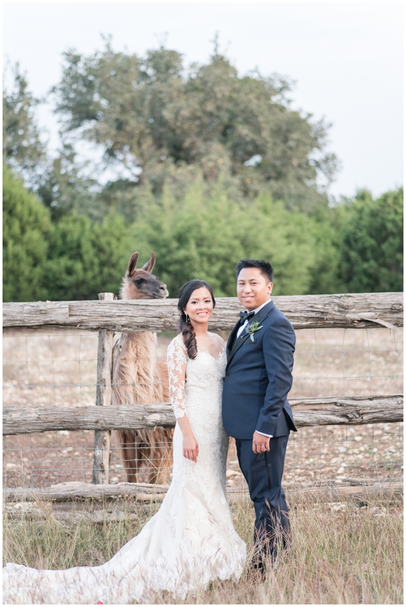 Wedding Venue with Llamas 