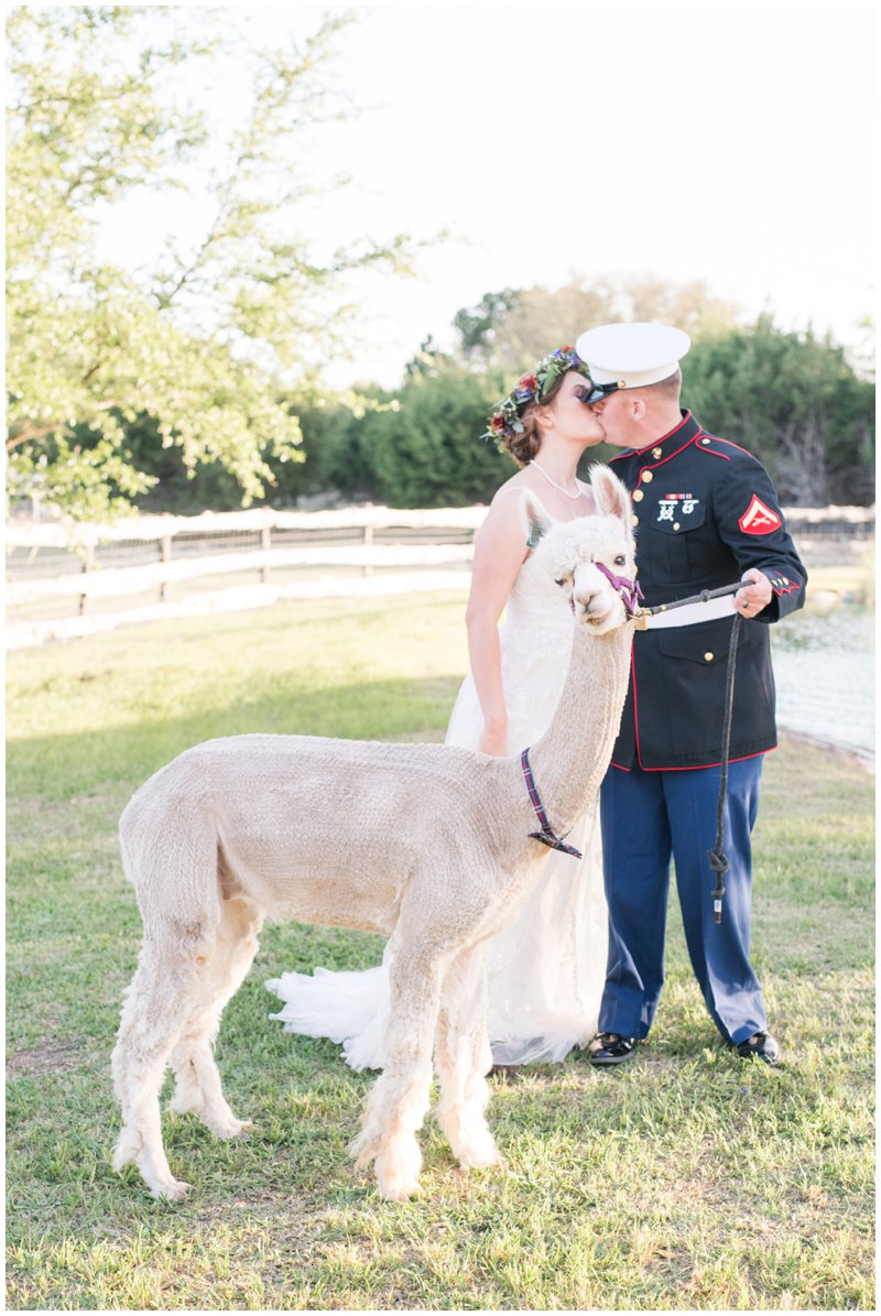 wedding venue with alpacas 