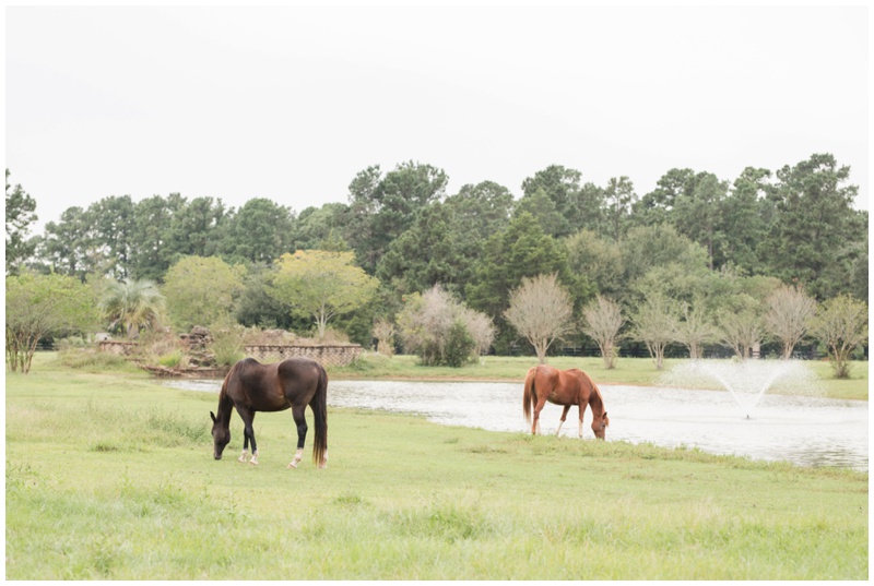 Horse pasture at Sandlewood Manor wedding venue near Houston Texas