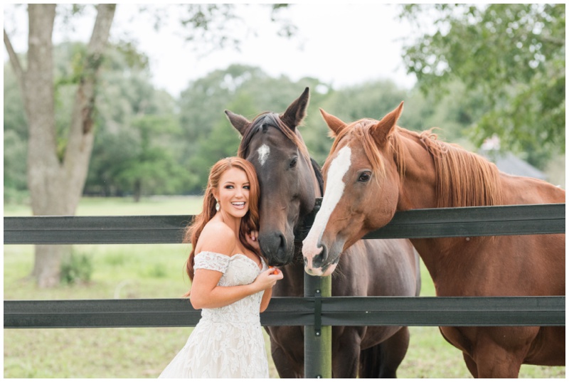 Texas wedding photographer captures bride feeding horses at Houston Wedding