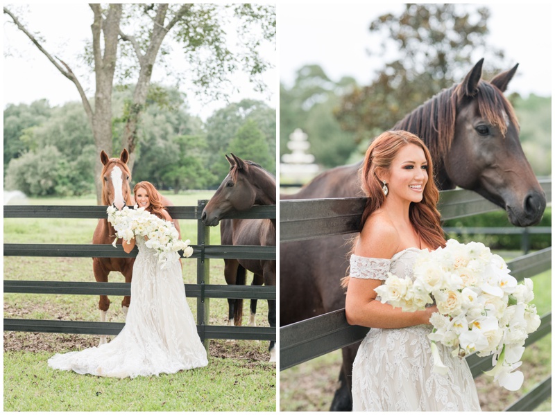 Tomball Texas Wedding Venue with Horses