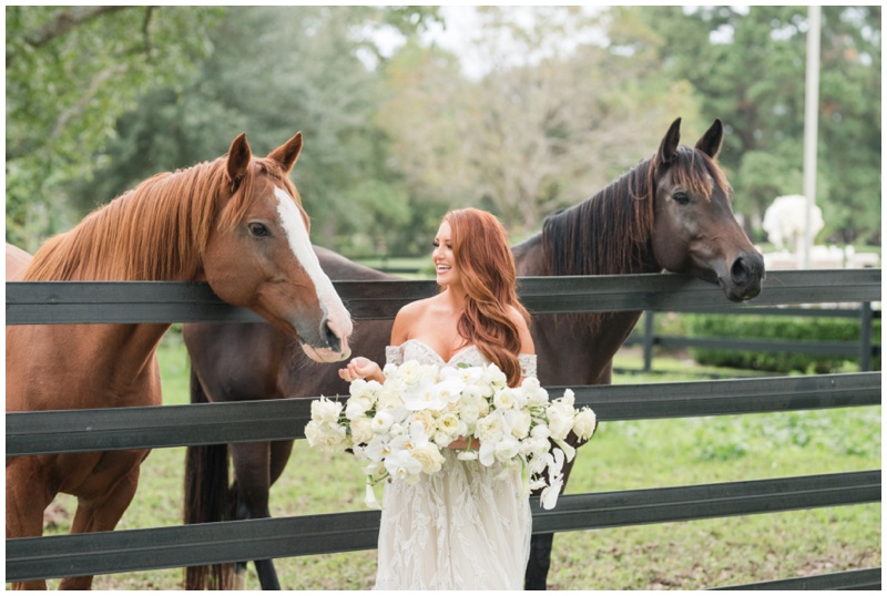 Houston Wedding Venue with horses