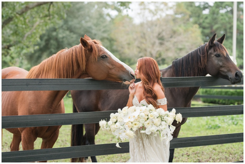 Bridal Portraits with horses 