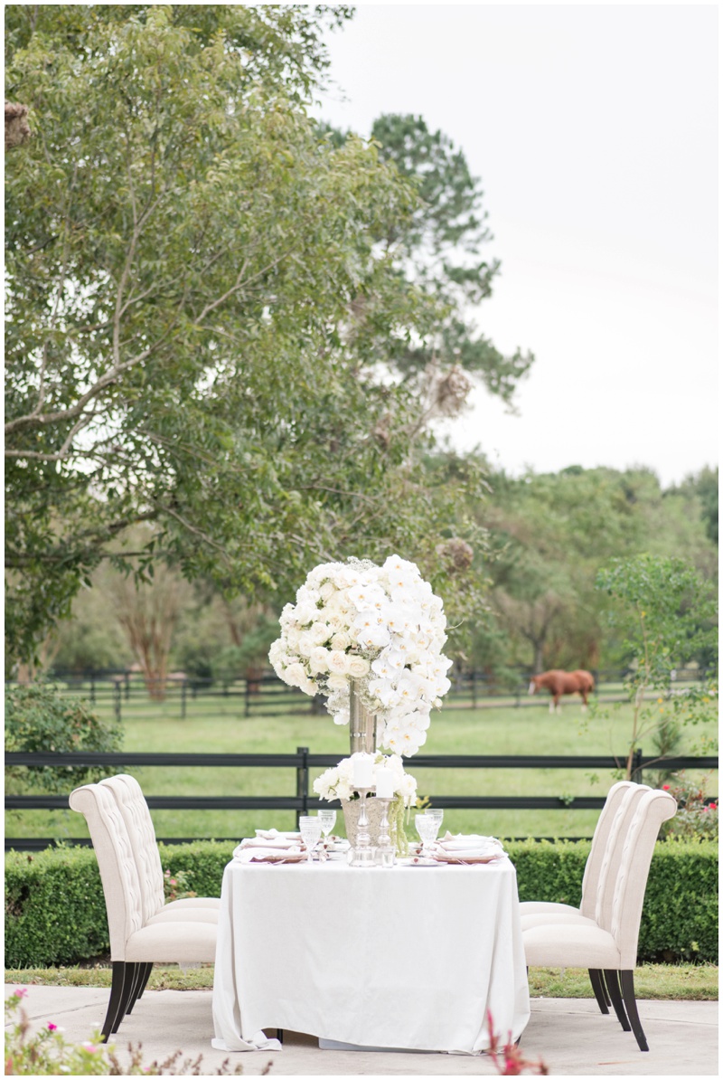 Houston Wedding Venue with horse pasture