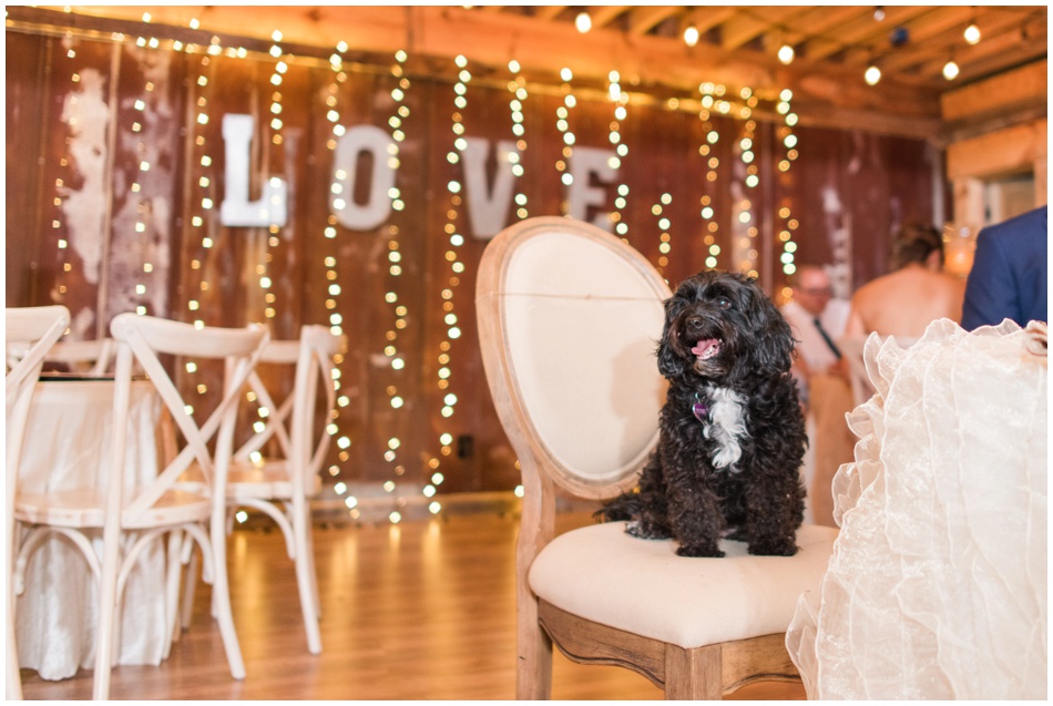 Pet friendly wedding venues in Austin Texas