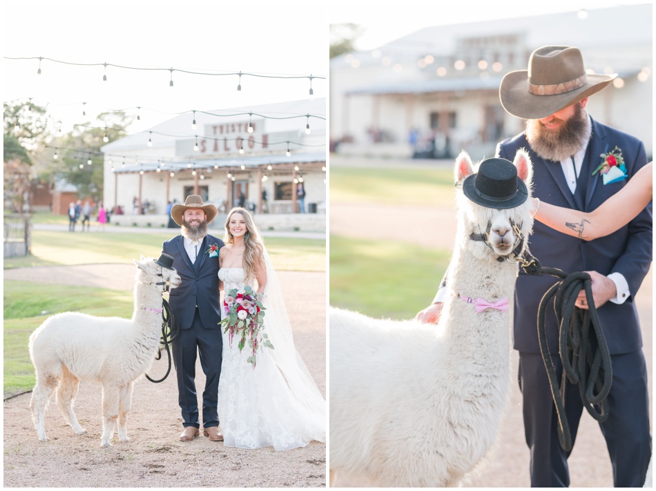Wedding Venue near Austin Texas with Alpacas 