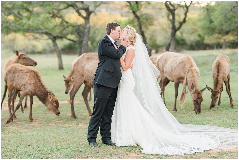 Unique Ranch Wedding Venues in Texas with Elk