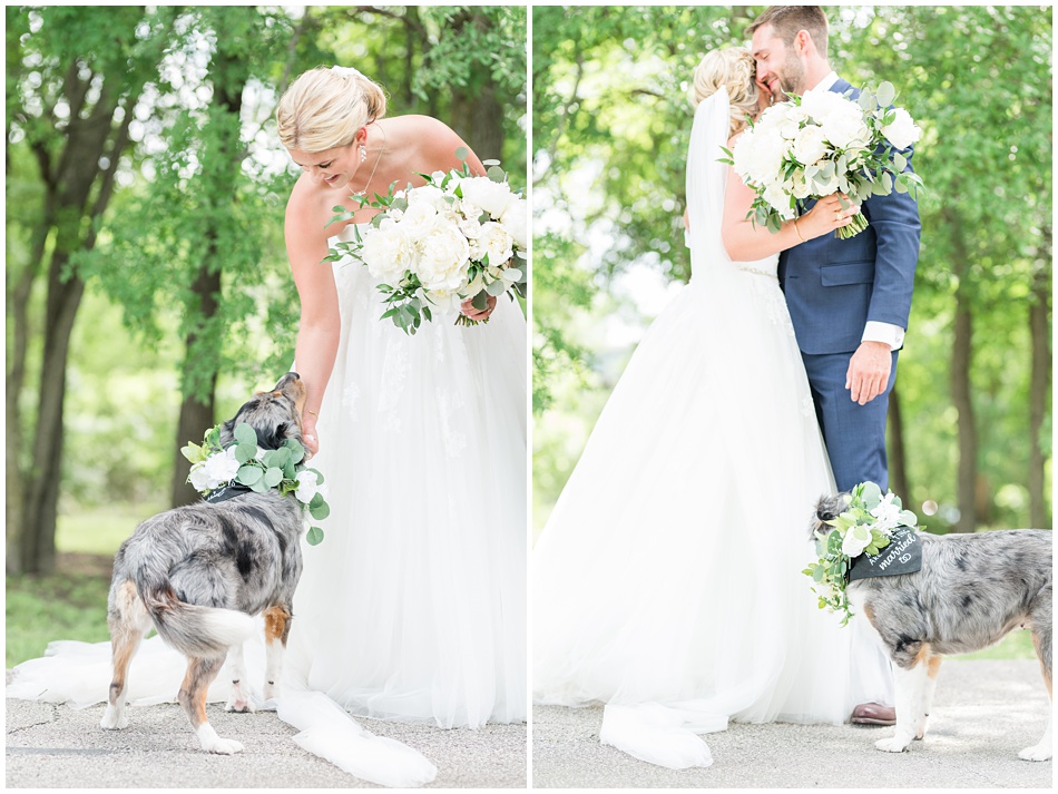 Dogs at weddings