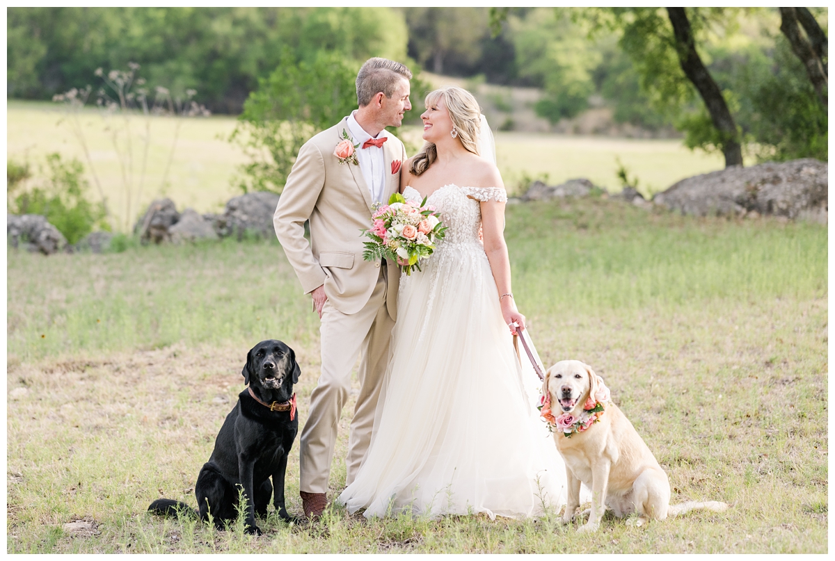 Wedding with dogs