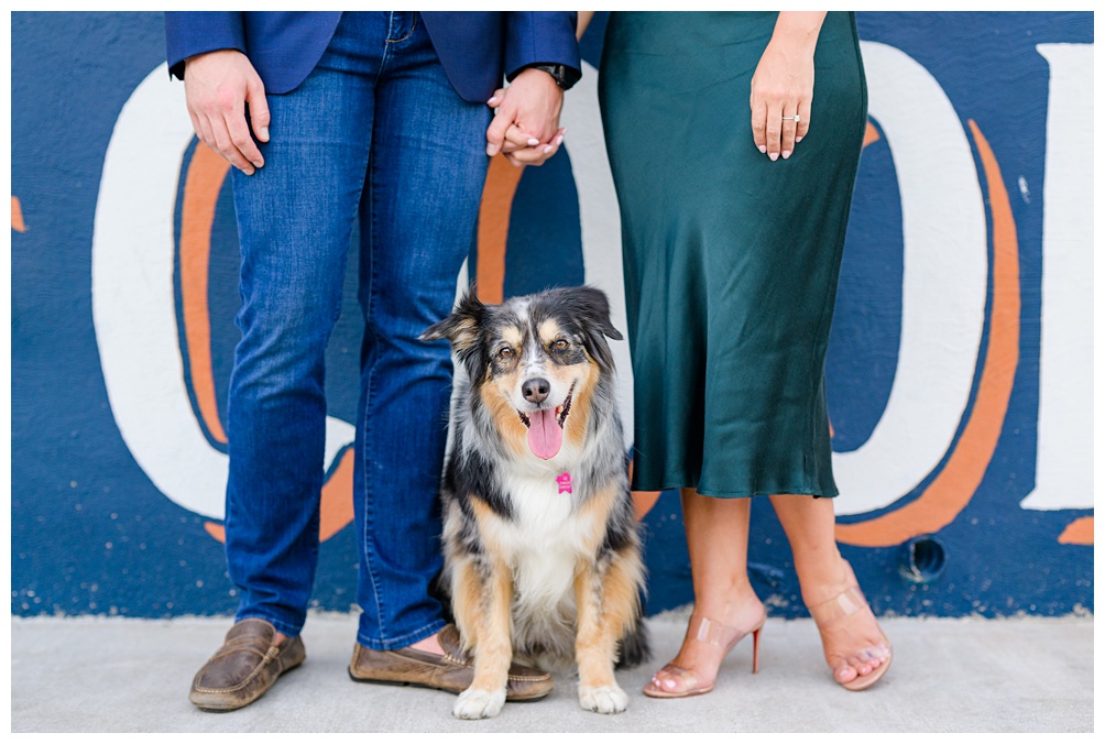 Dogs in Engagement Photos