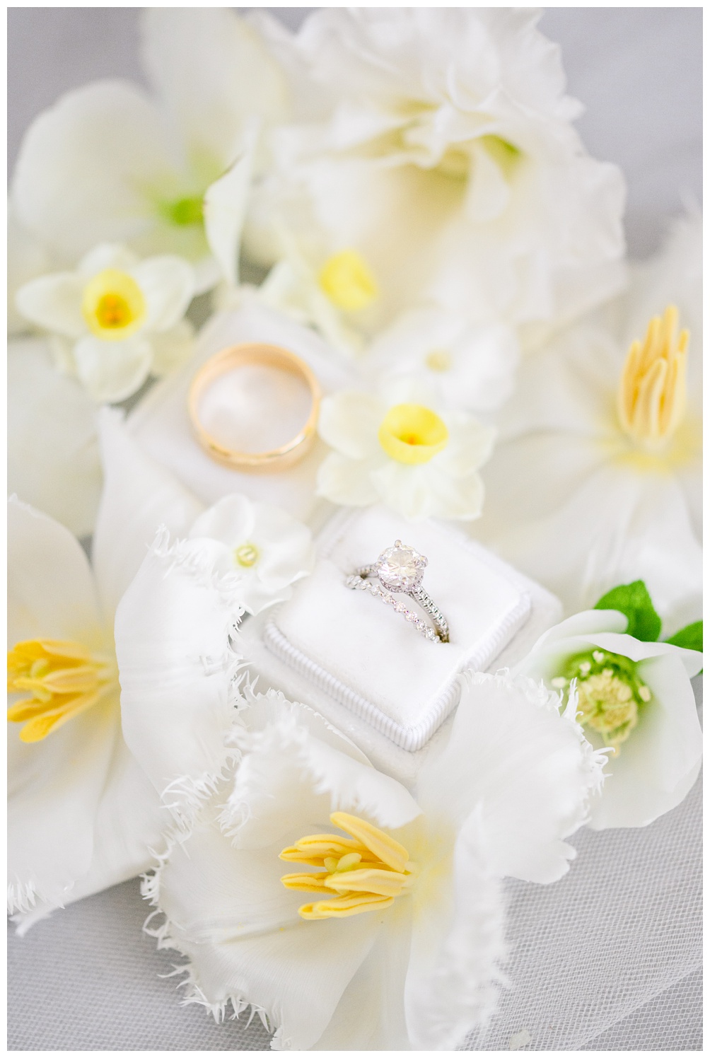 Photo of wedding rings surrounded by white and yellow flowers