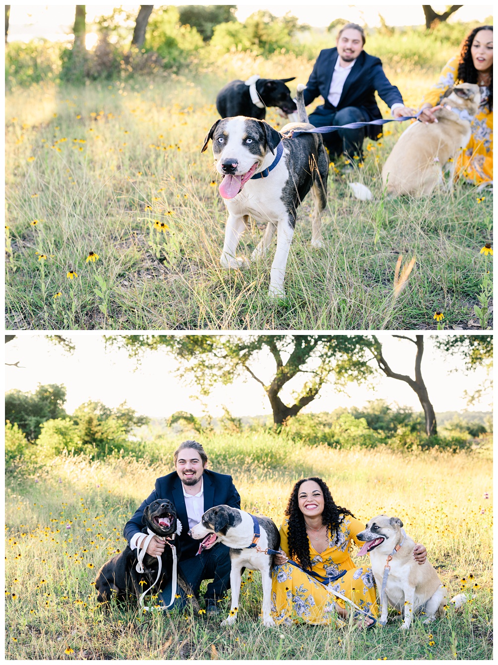 Lake Georgetown Engagement Photos with dogs