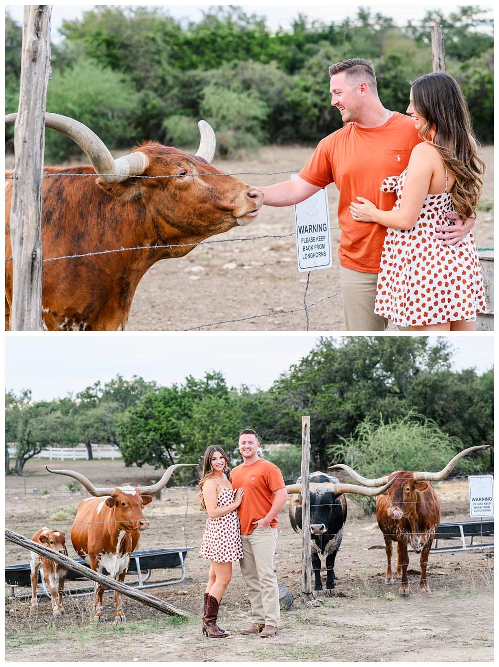 Wedding Venues with longhorns on property for University of Texas fans